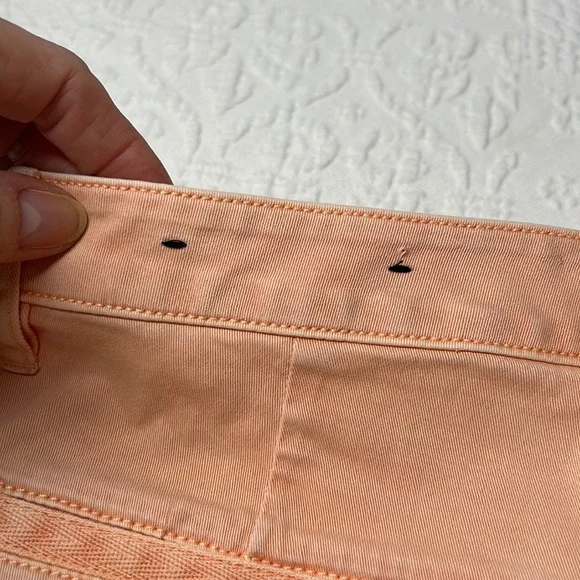 ⭐️Anthro Sanctuary peach shorts standard surplus size 28 - Picture 7 of 9